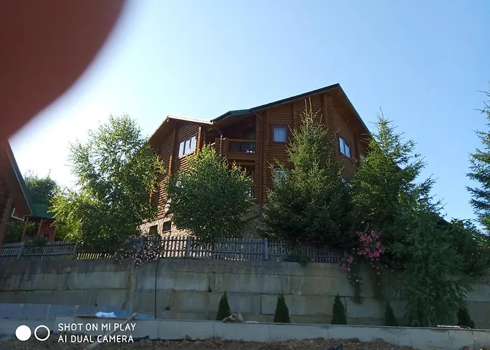 крокус мія 3*